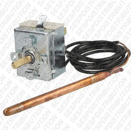 THERMOSTAT IMIT 541173/A type TR2 9325 0/90°C