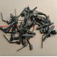 Clips cotherm pour canne de thermostat