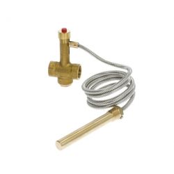 soupape Regulus BVTS1448097°C 1,3 mètre sécurité thermique chaudière à bois