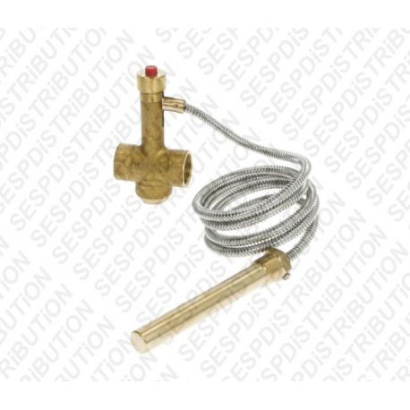soupape Regulus BVTS1448097°C 1,3 mètre sécurité thermique chaudière à bois